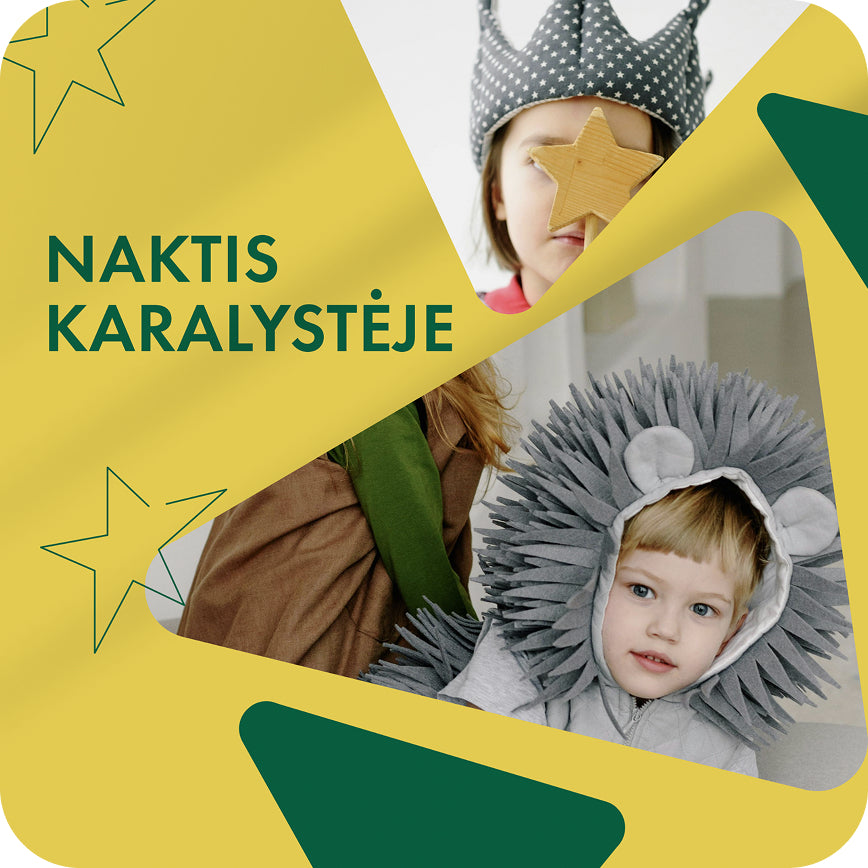 Naktis karalystėje